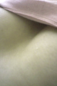 Porn Pics Indian Babe Wasmin Showing Her Hairy Pussy